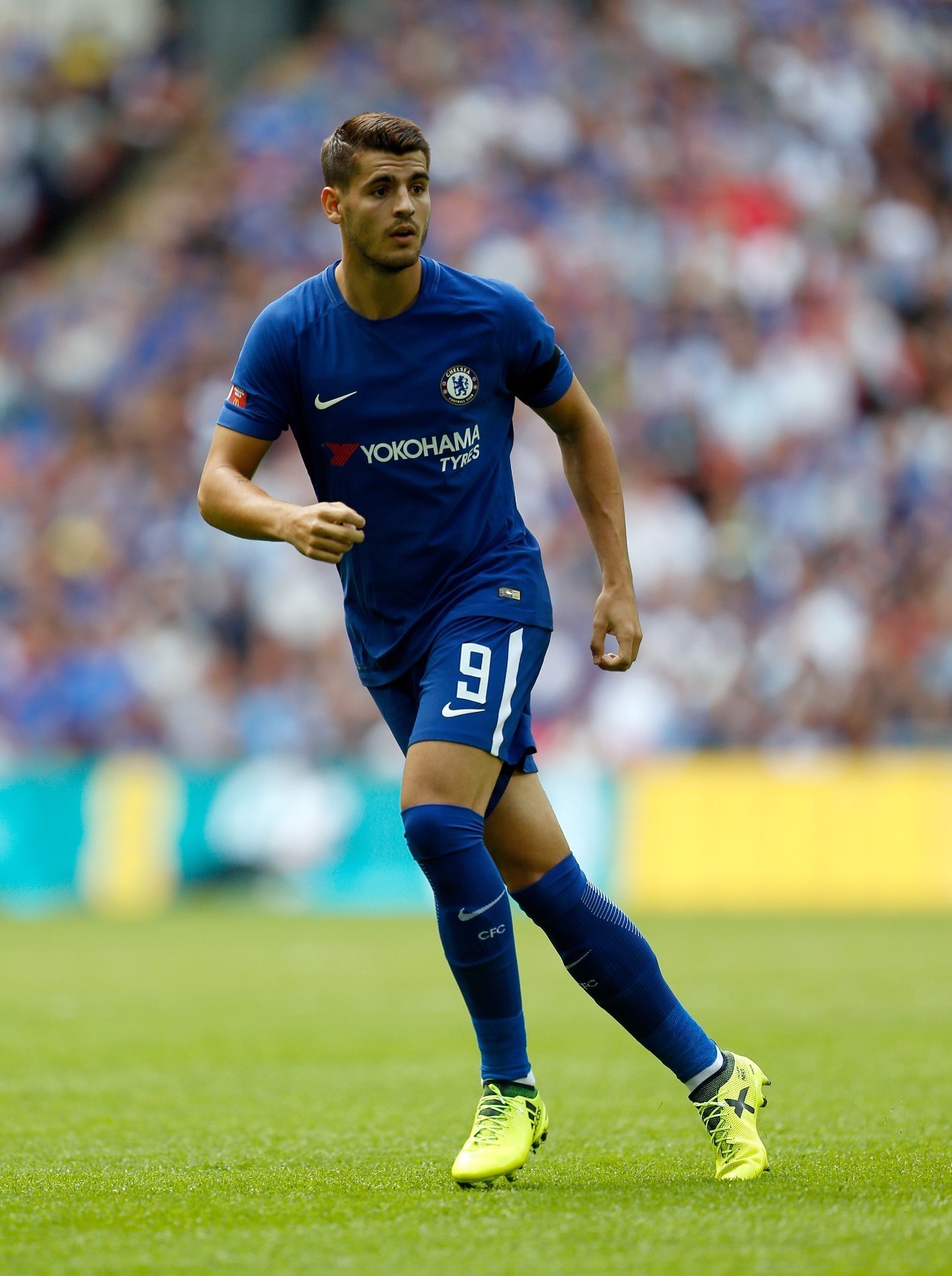 金在去年夺 金在去年夺